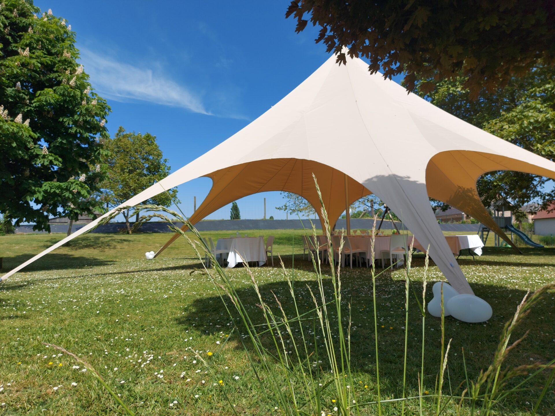 Startent 80