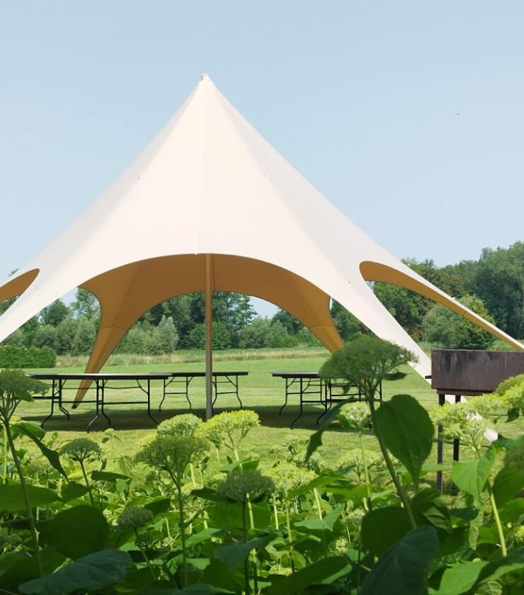 stertent 40